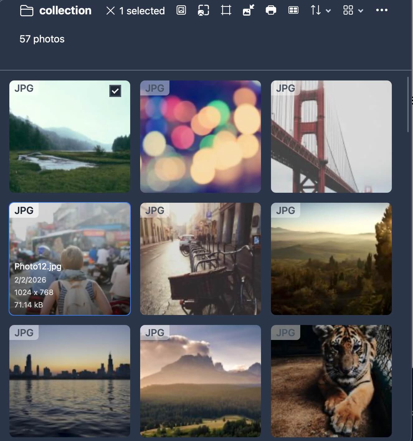 Visualização Principal do ImgLook